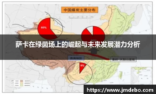 萨卡在绿茵场上的崛起与未来发展潜力分析