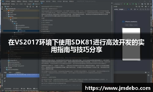 在VS2017环境下使用SDK81进行高效开发的实用指南与技巧分享